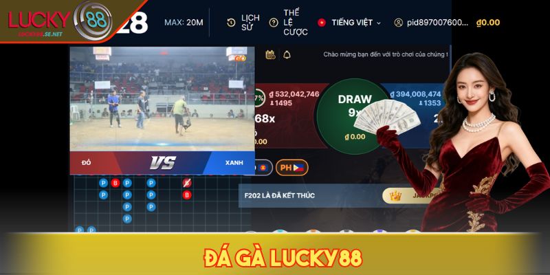 Đá gà LUCKY88